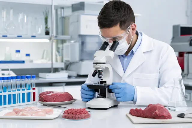 Food Safety & Testing Laboratories