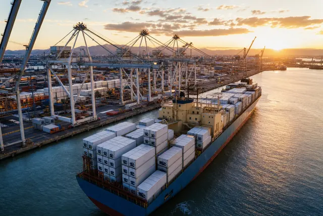 Importers & Exporters