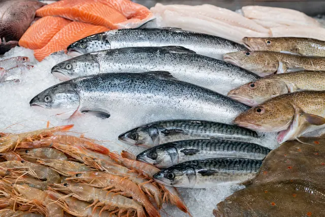 Seafood