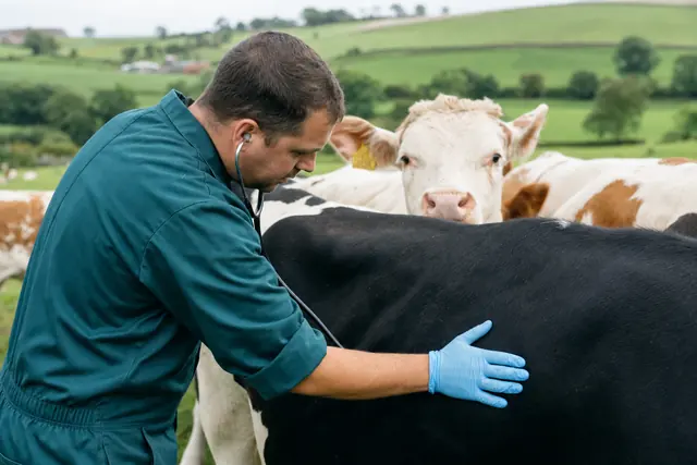 Veterinary Services